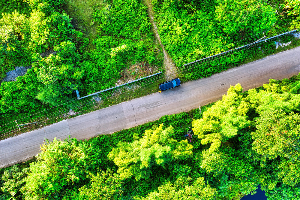 Green Lane