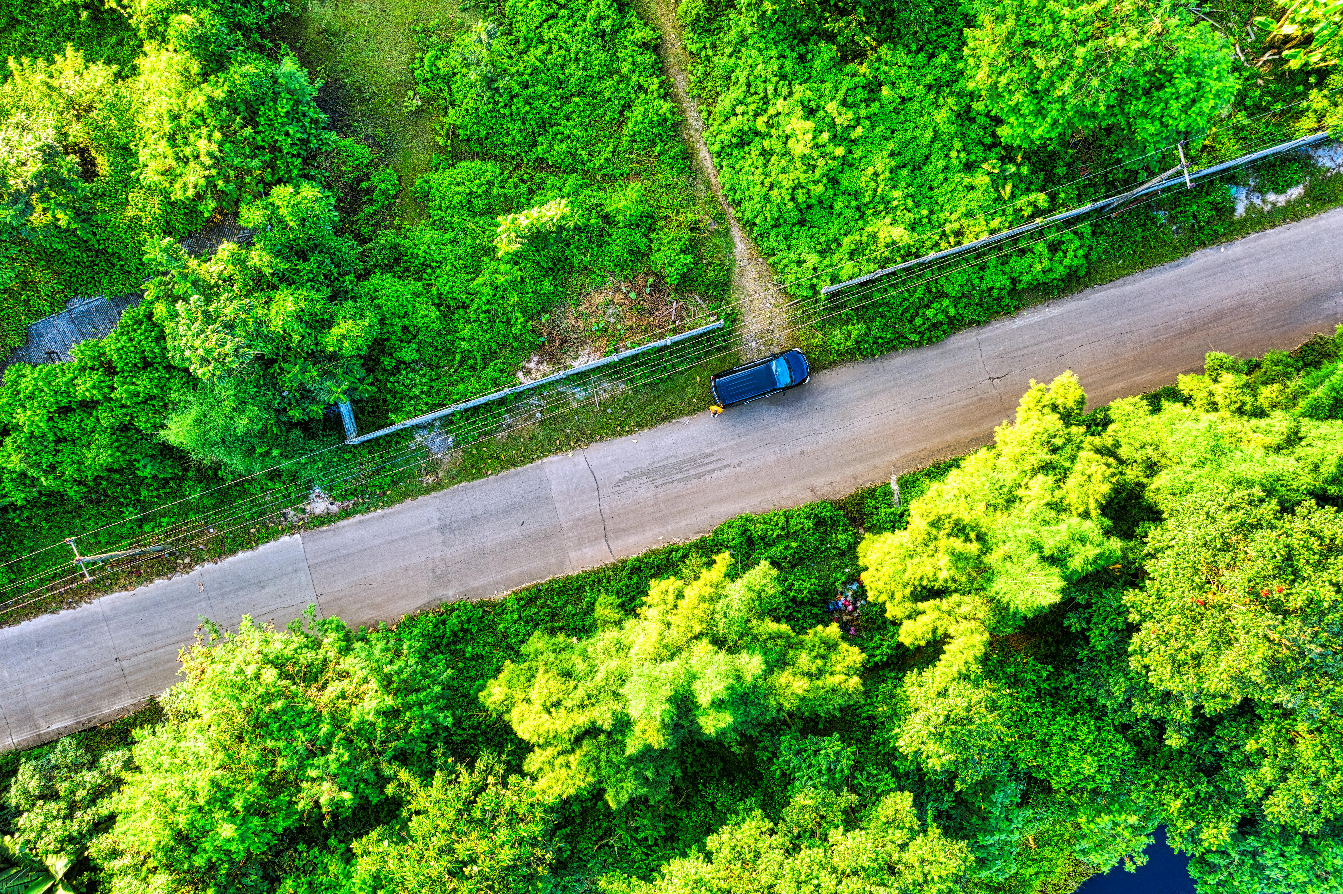 Green Lane
