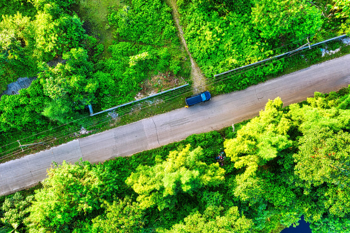 Green Lane